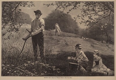 Making Hay
