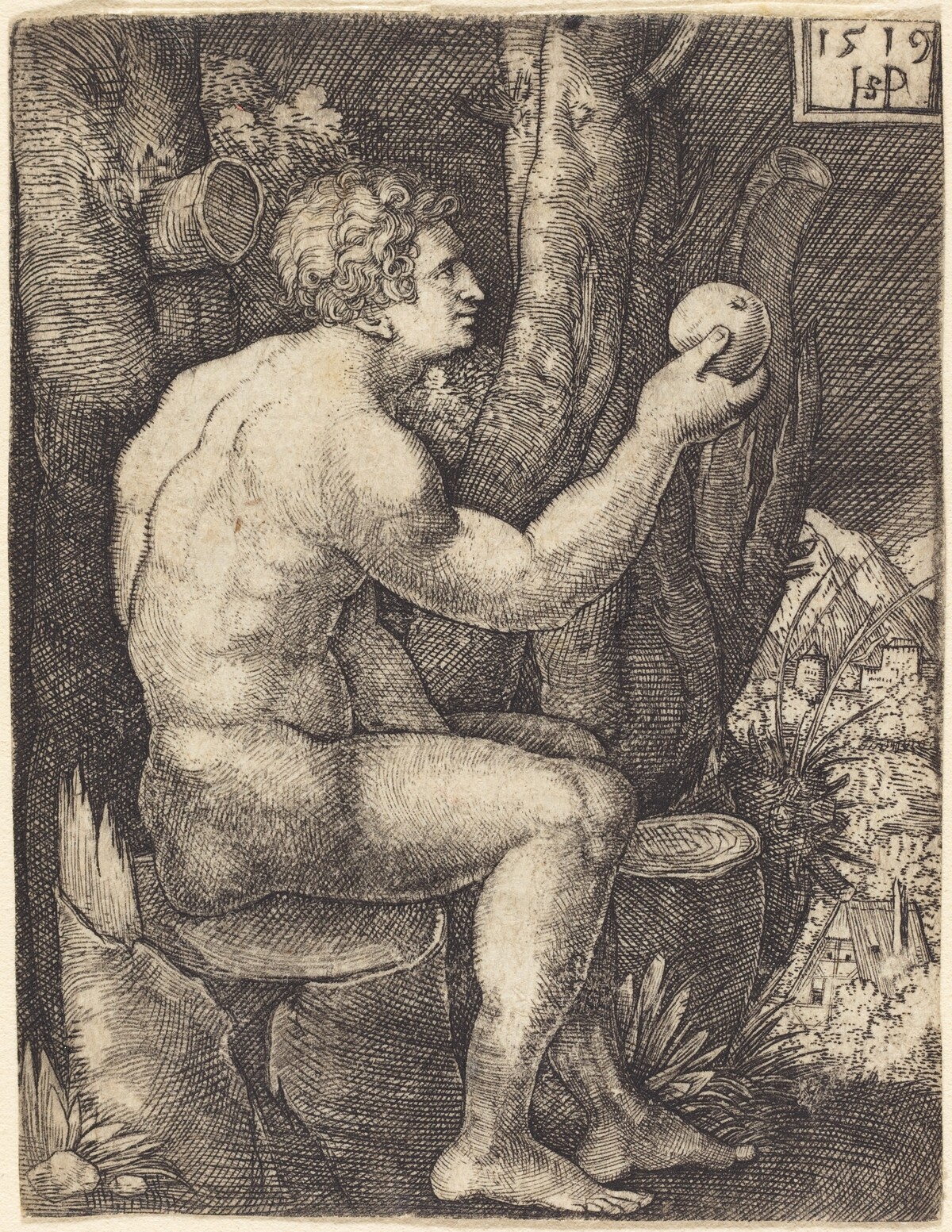 Adam Seated by Sebald Beham