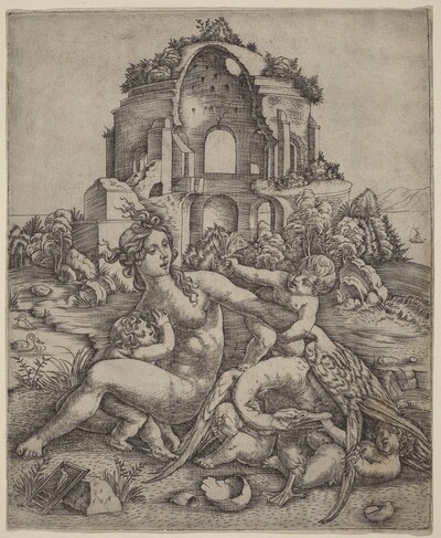 Leda and the Swan