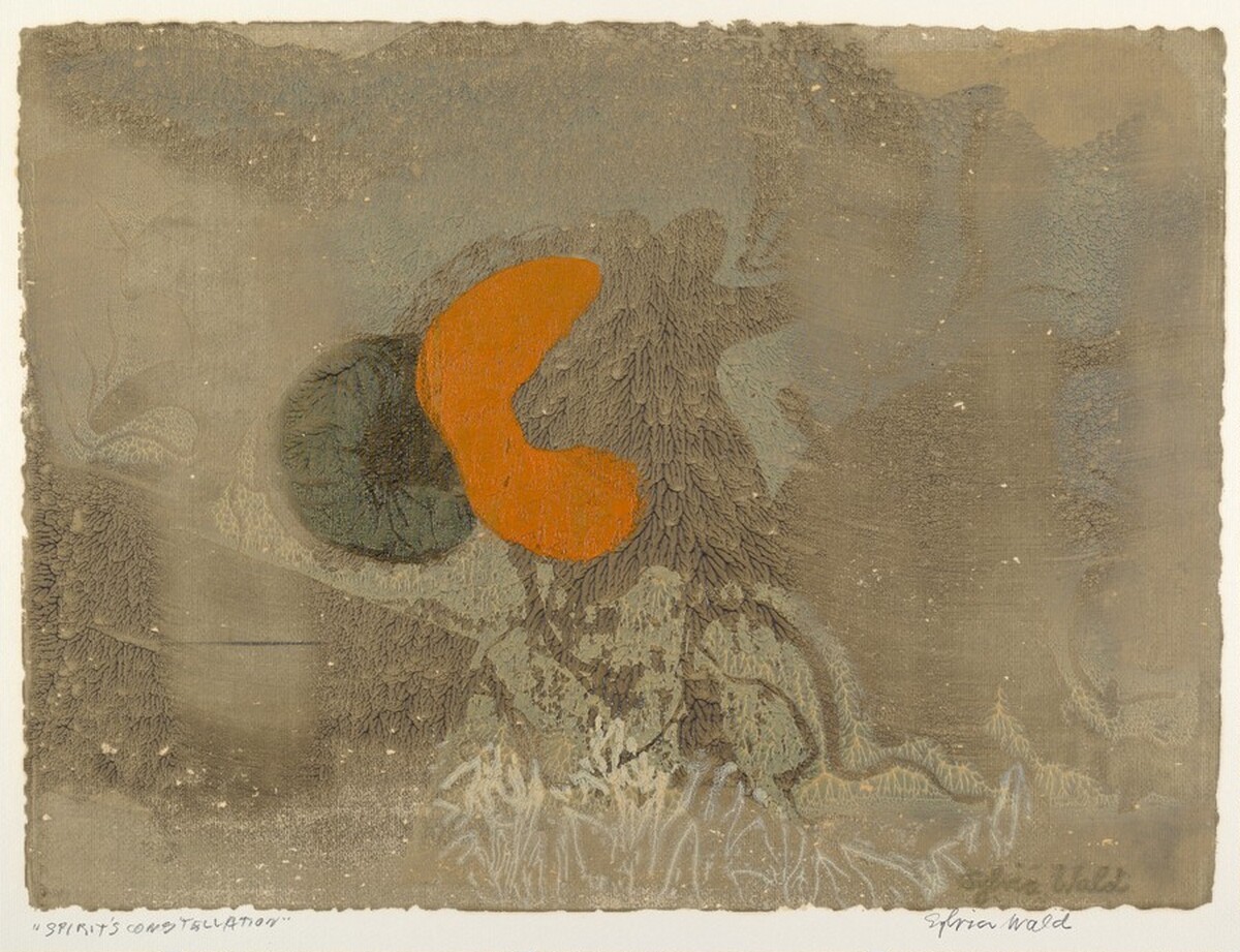Spirit's Constellation by Sylvia Wald