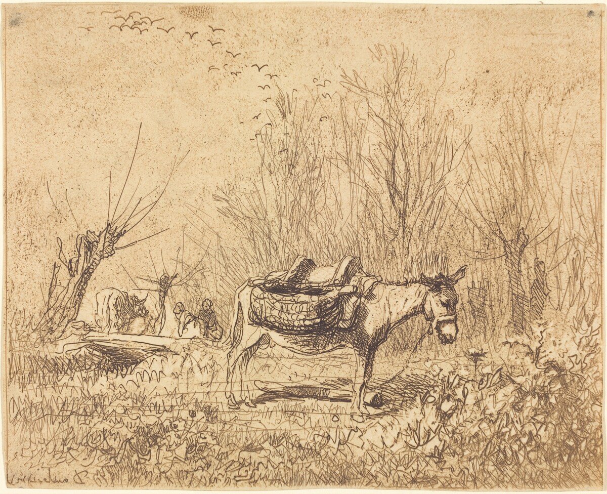 Donkey in a Field (L'Ane au pre) by Charles-François Daubigny