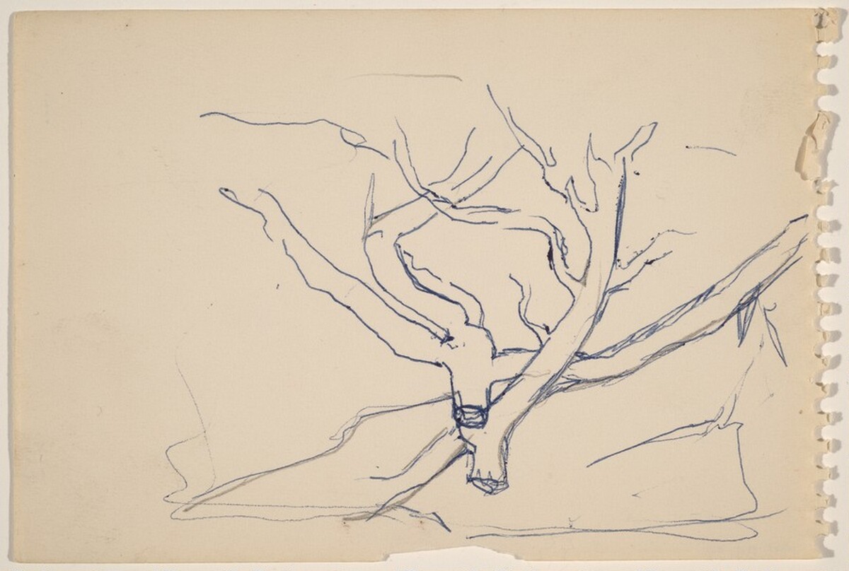 Study of a Dead Tree by Louis Lozowick