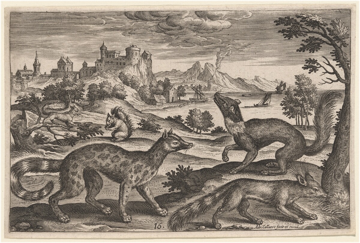 Weasels and Squirrels by Adriaen Collaert