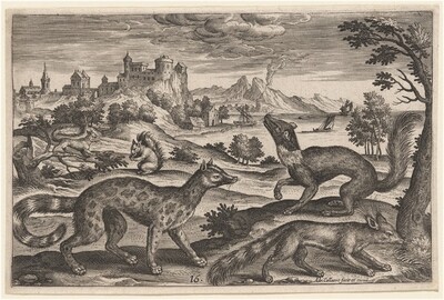 Weasels and Squirrels