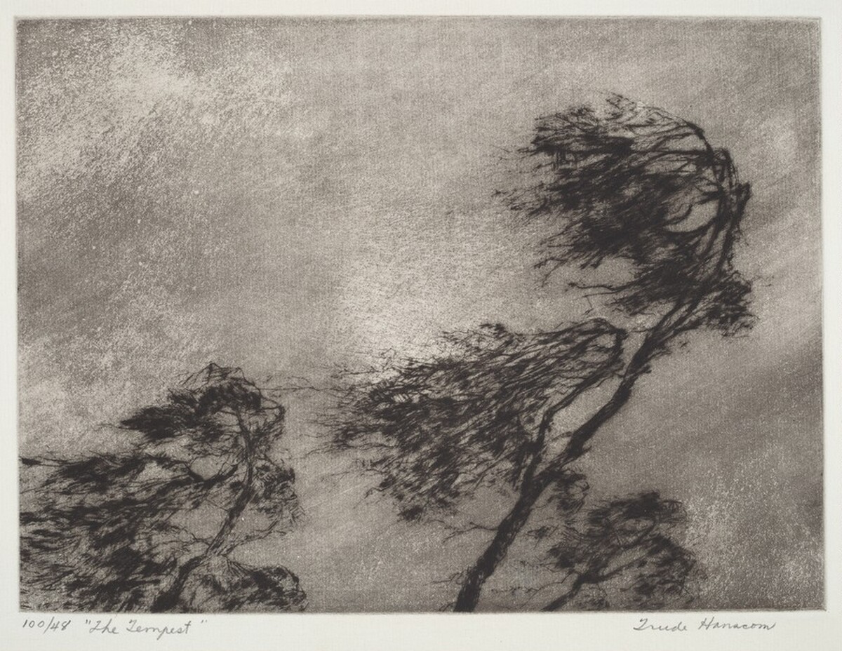 The Tempest by Trude Hanscom