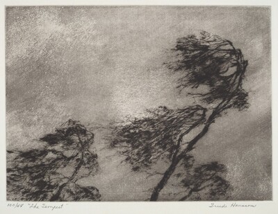 The Tempest