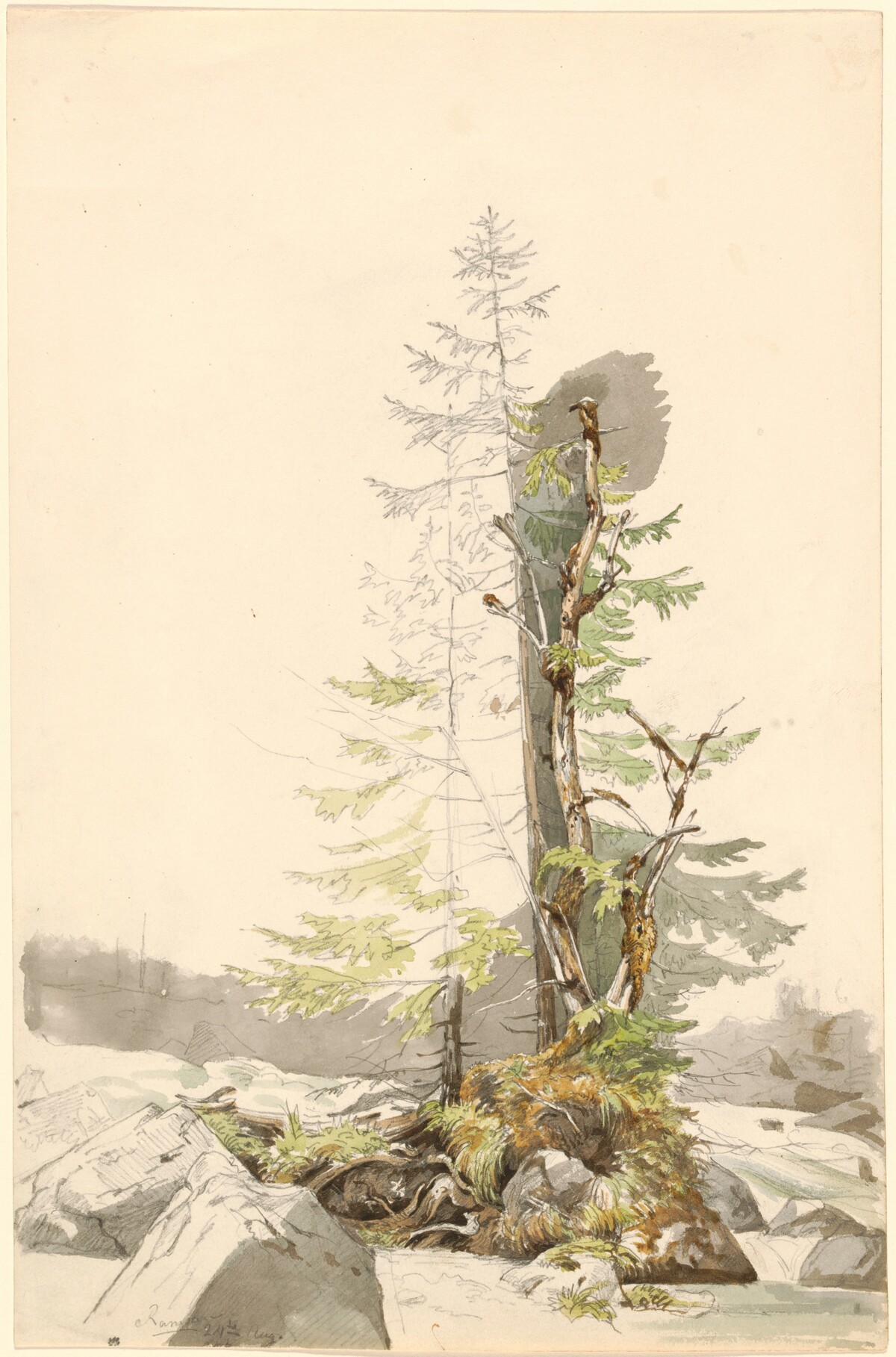 A Clump of Trees by a Rocky Stream in the Ramsau by Carl Morgenstern