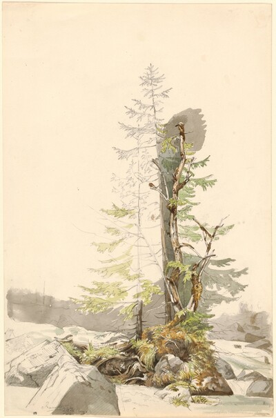 A Clump of Trees by a Rocky Stream in the Ramsau