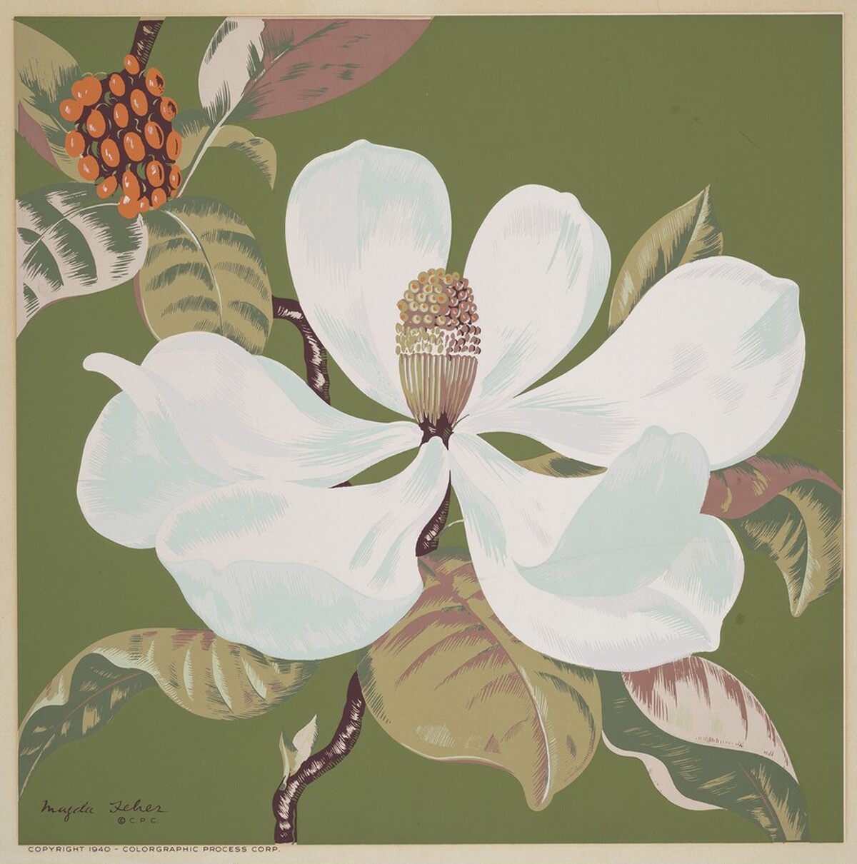 Untitled (Flower) by Magda A. Feher