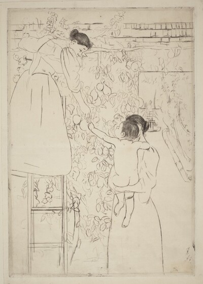Gathering Fruit