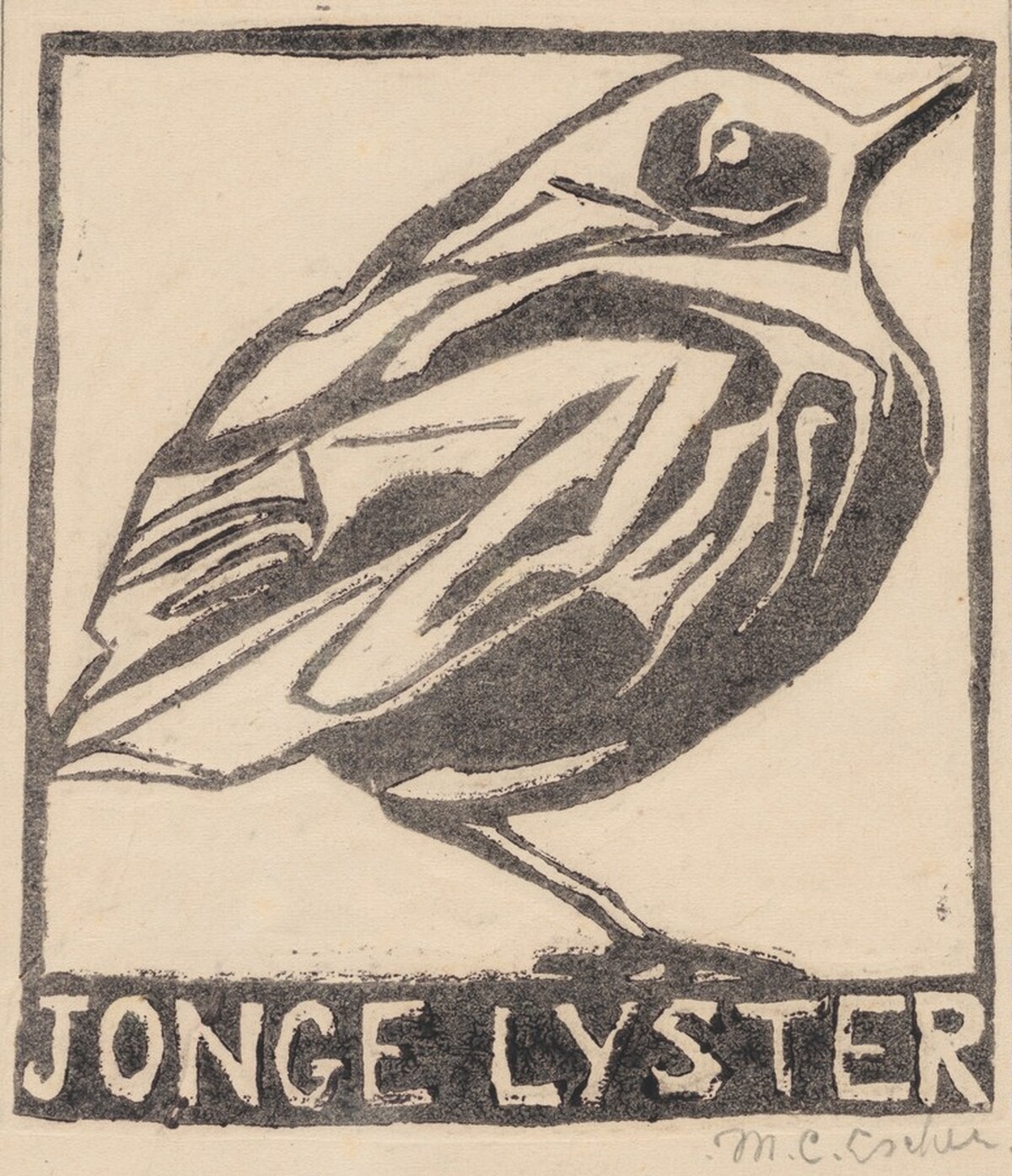 Young Thrush by M.C. Escher