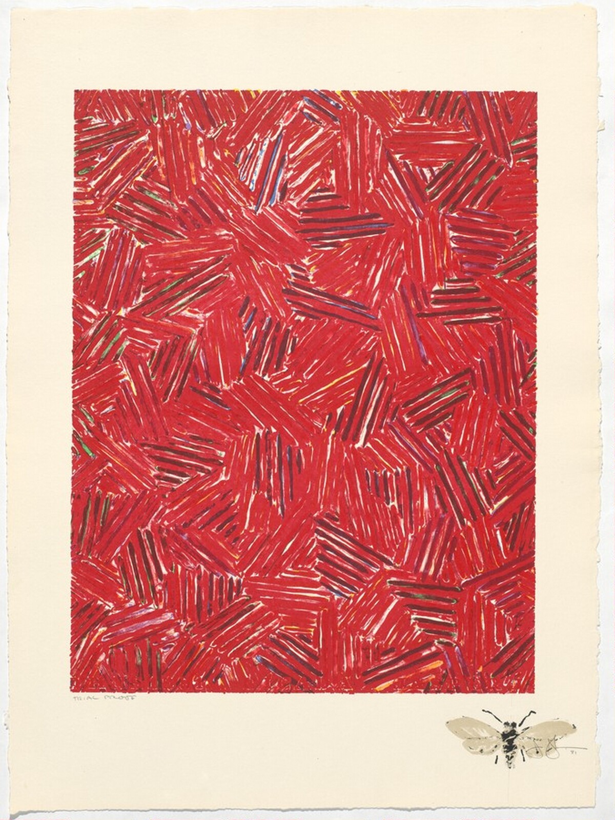 Cicada [trial proof] by Jasper Johns
