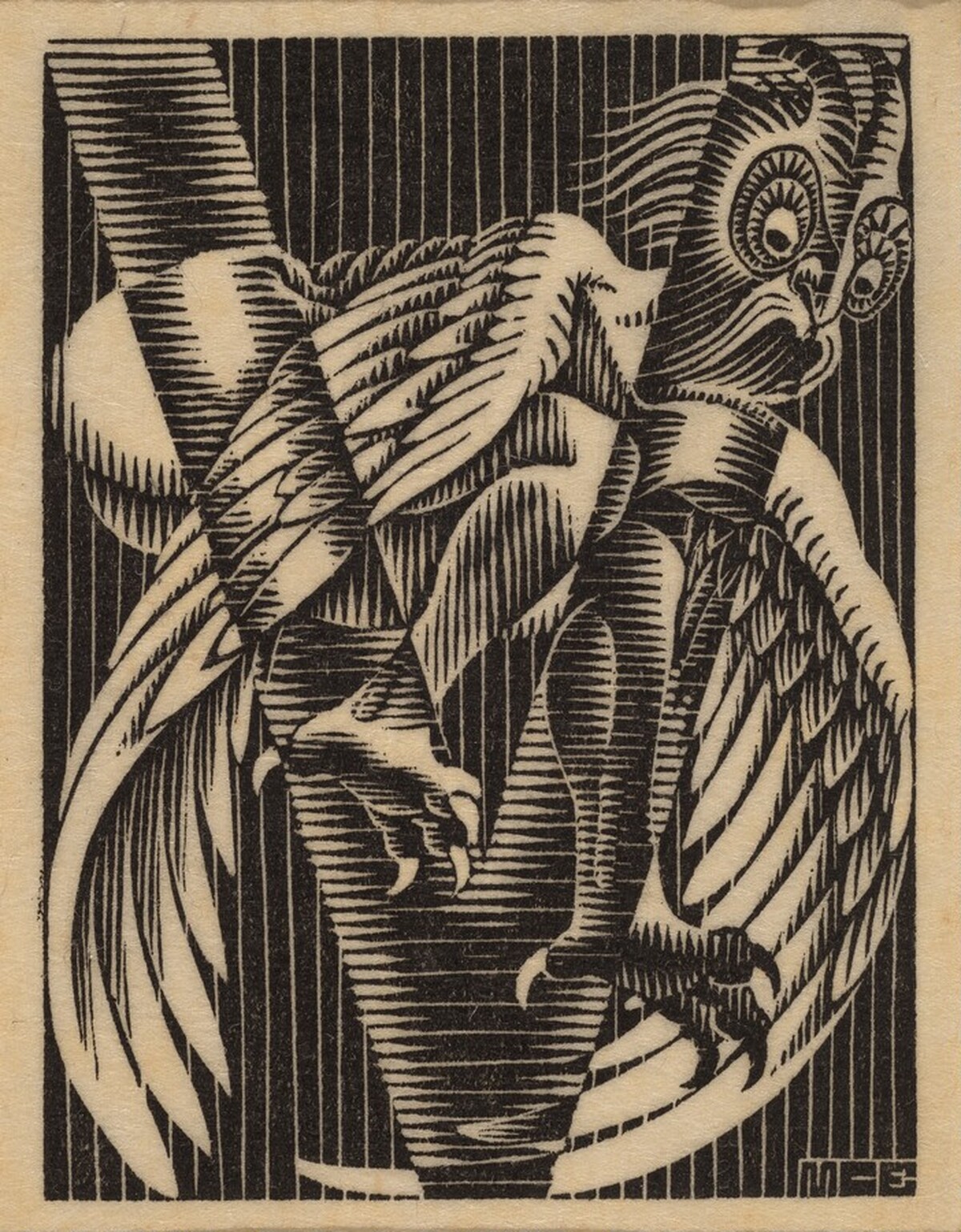 Initial V by M.C. Escher