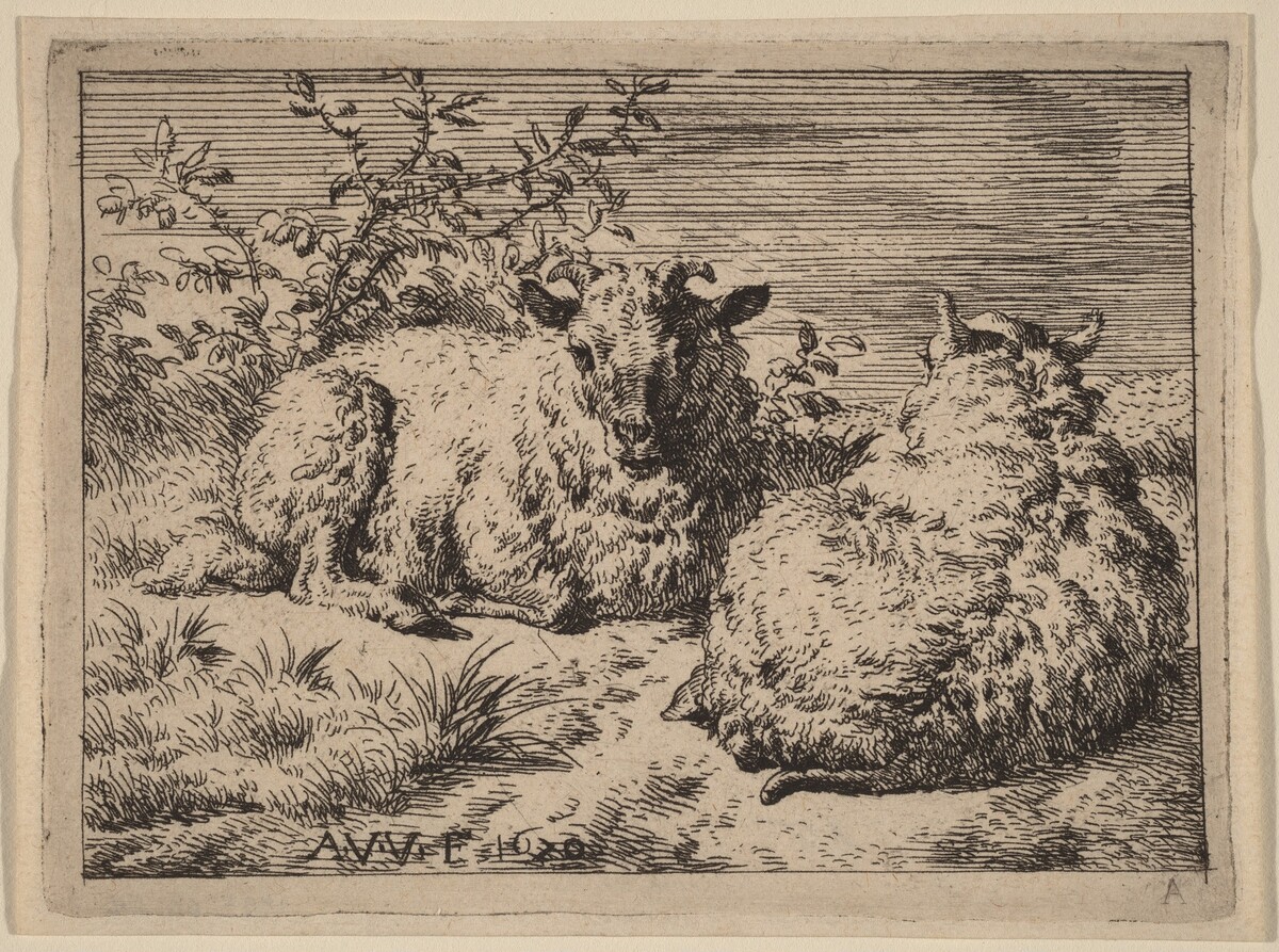Two Recumbent Sheep by Adriaen van de Velde