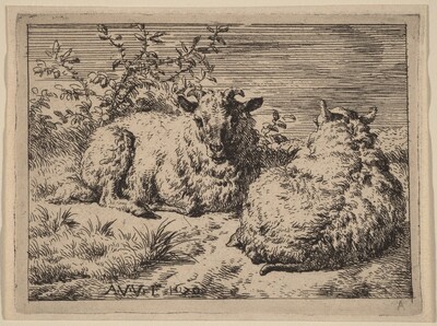 Two Recumbent Sheep