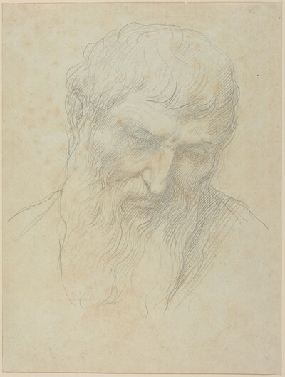 Head of a Man with Curly Hair and Beard