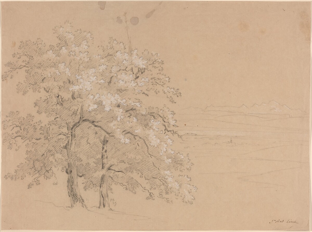 Sunlit Trees Before a Panoramic Landscape by Jean Antoine Linck