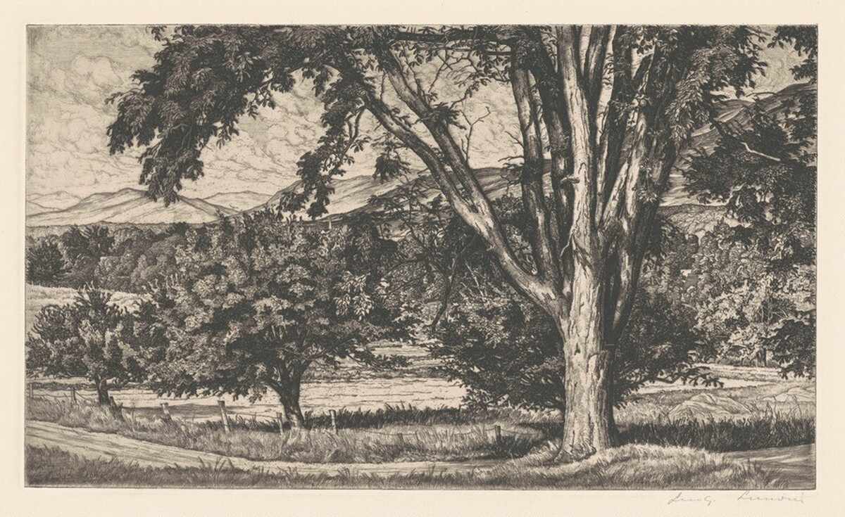 Beyond the Elm by Luigi Lucioni