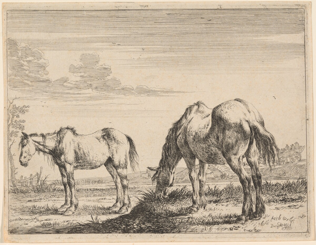 Two Grazing Horses by Dirck Stoop