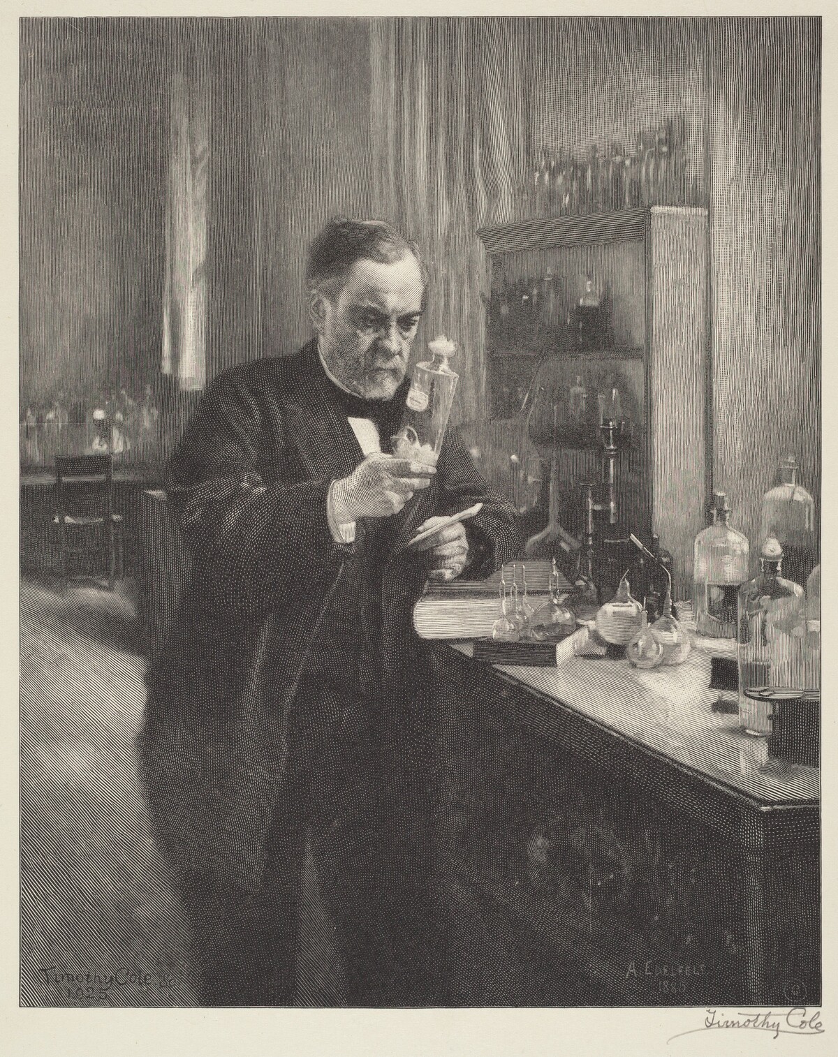 Dr. Pasteur by Timothy Cole after Albert Edelfelt