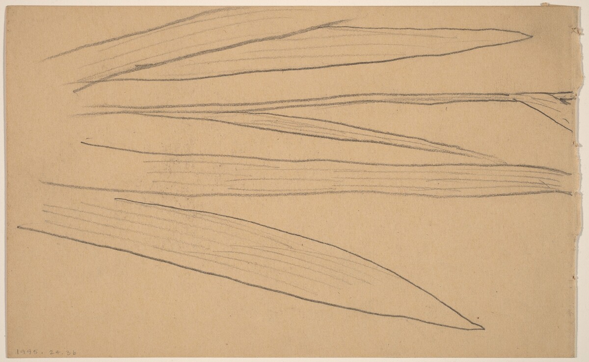 Study of a Flower [verso] by Charles Sprague Pearce