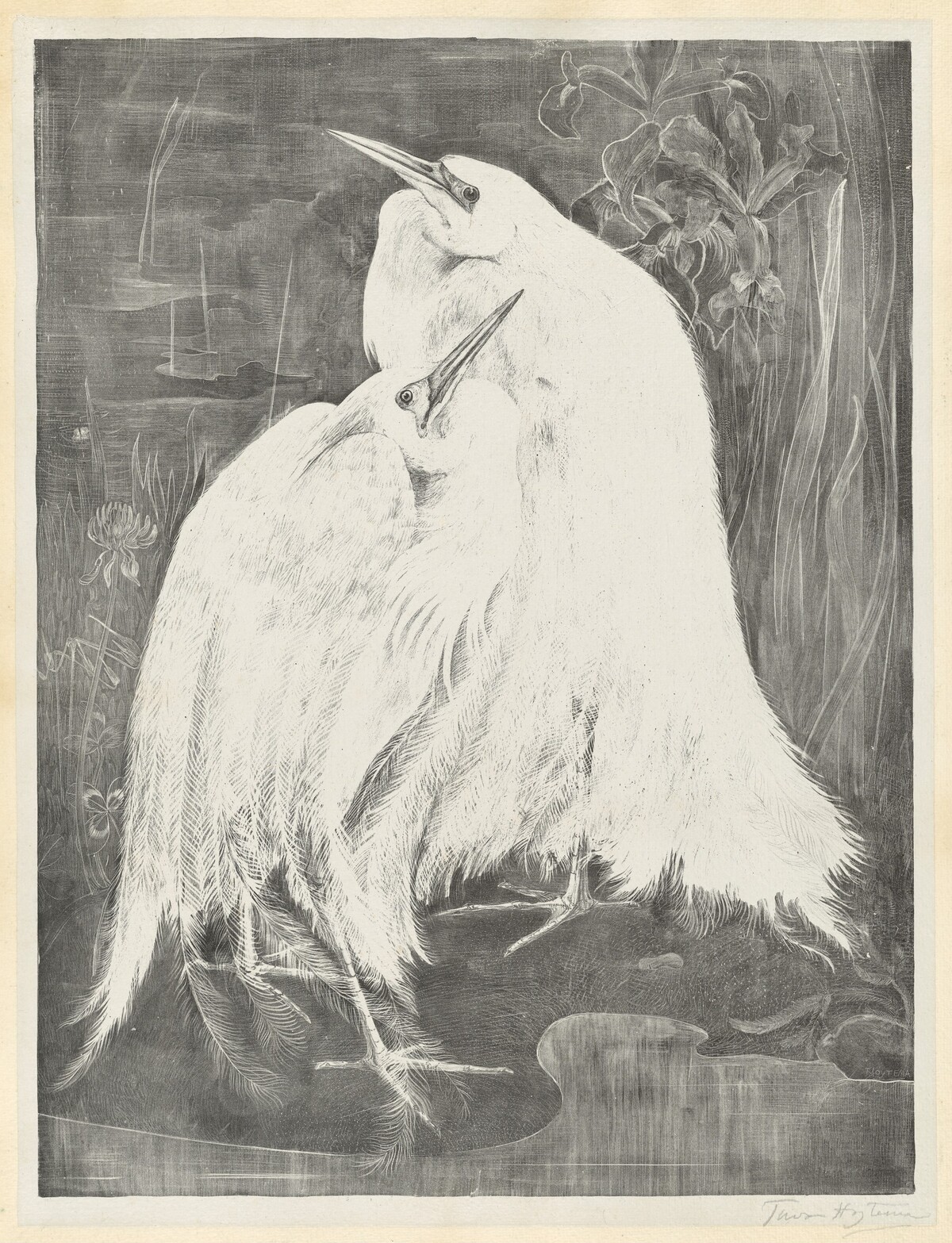 Two White Egrets by Theodoor van Hoijtema
