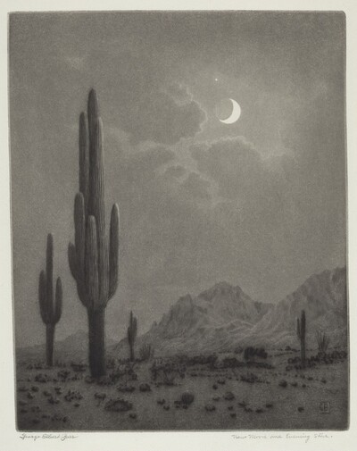 New Moon and Evening Star