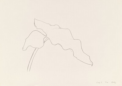 Leaf I