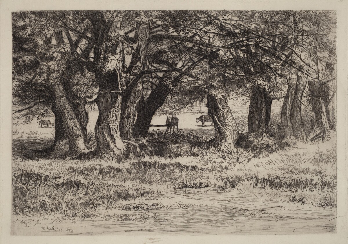 A Group of Willows by Eleazer Hutchinson Miller