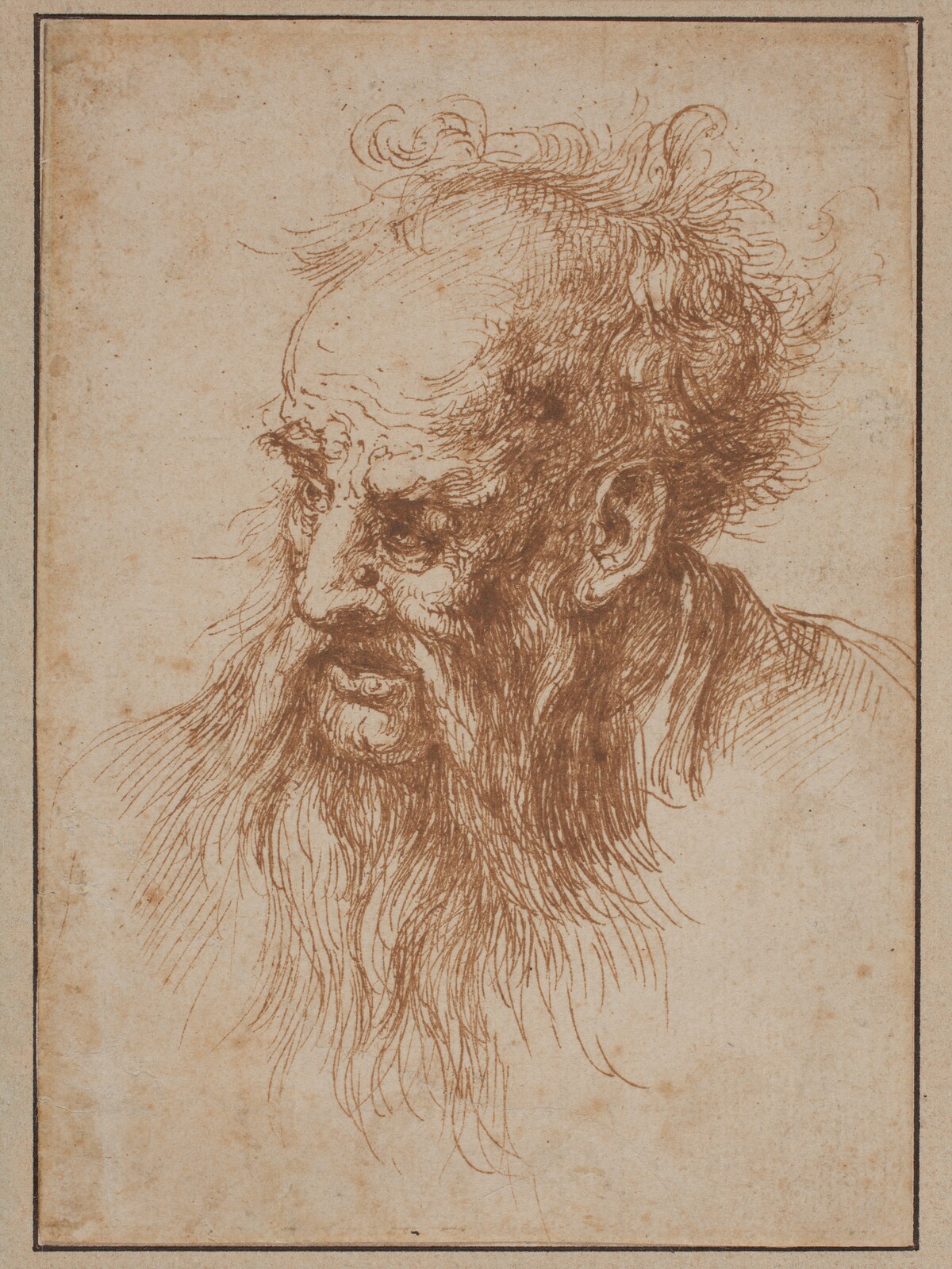 An Elderly Man with a Flowing Beard by Spanish 17th Century