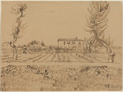 Ploughman in the Fields near Arles