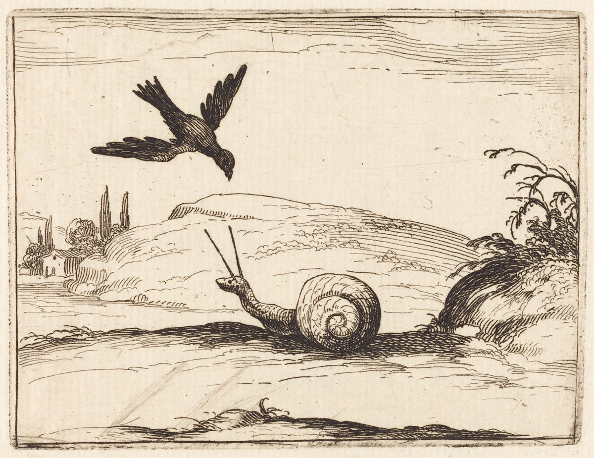 Crow and Snail by Jacques Callot