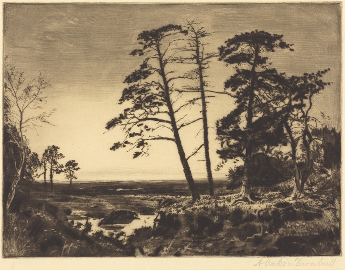 Landscape by Andrew Watson Turnbull