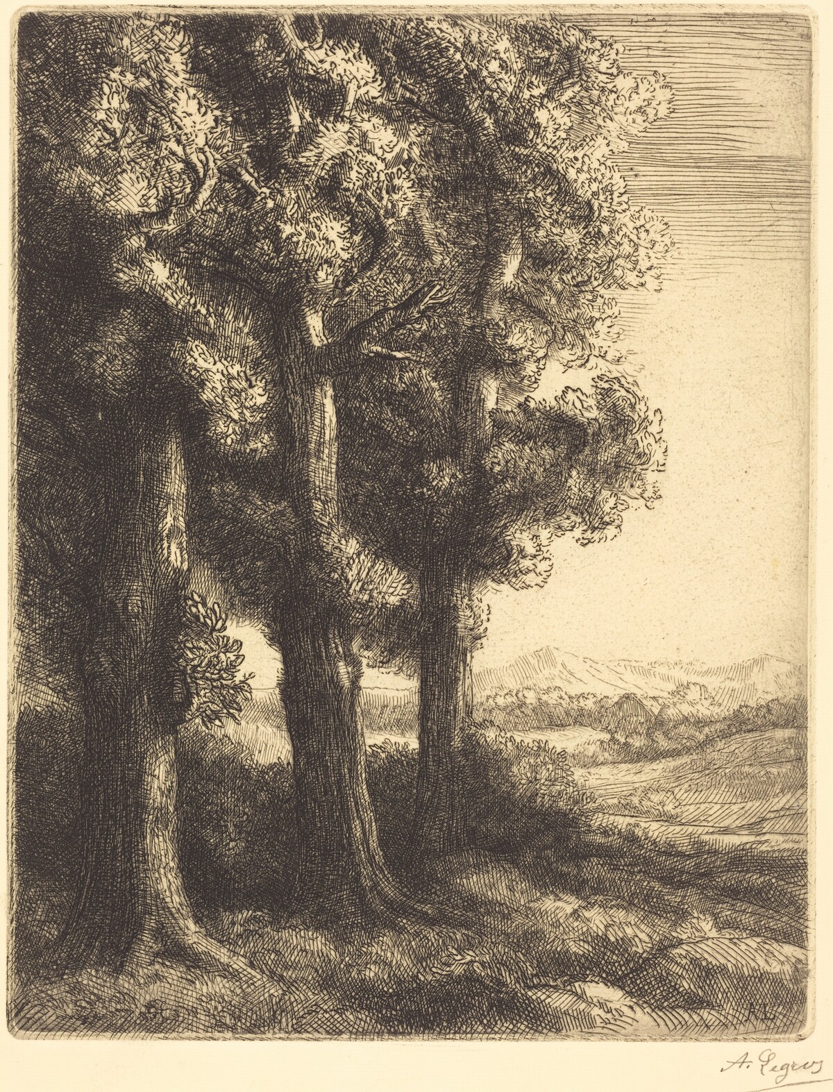 Corner of a Wood (Coin d'un bois) by Alphonse Legros