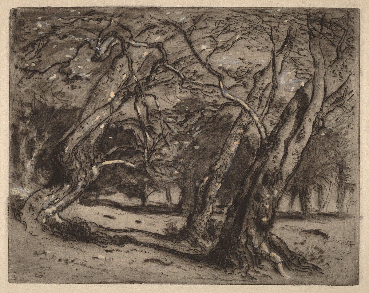 Untitled (Wooded Landscape) by Samuel Colman