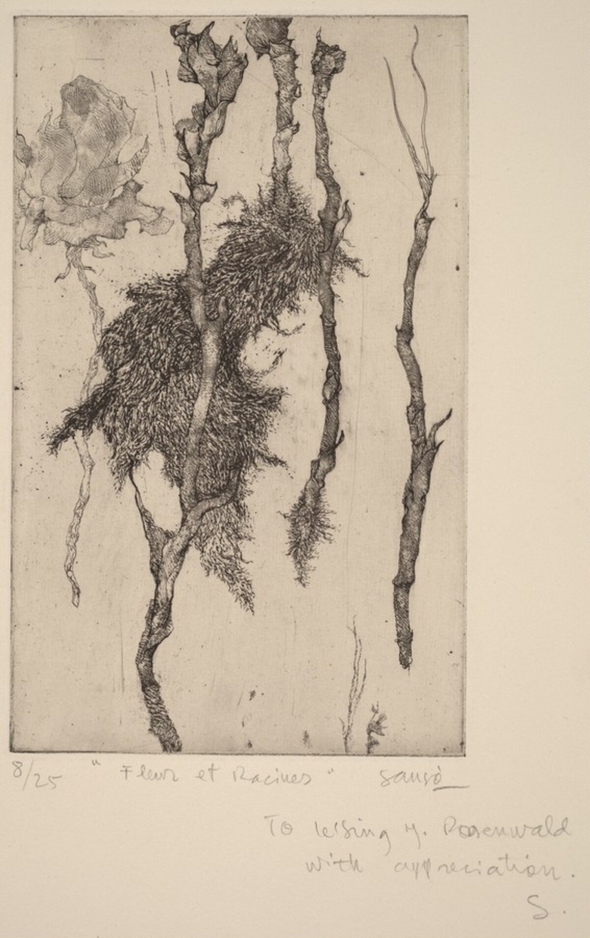 Fleur et Racines (Flower and Roots) by Juvenal Sansò