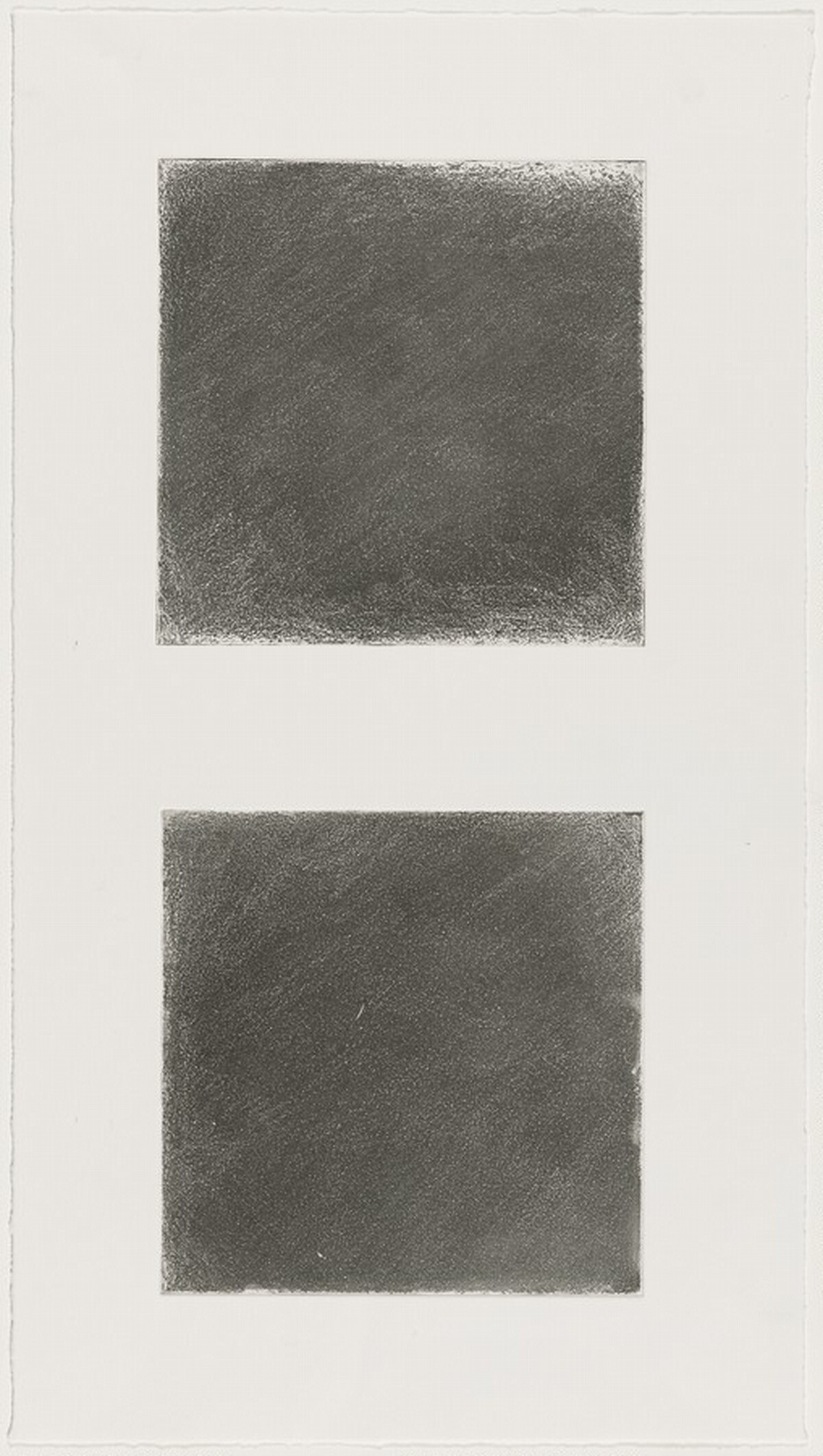 Kinnikinnick [working proof 12] by Anne Appleby