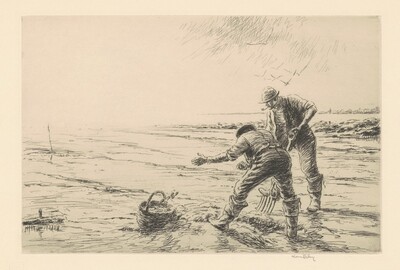 Digging Clams