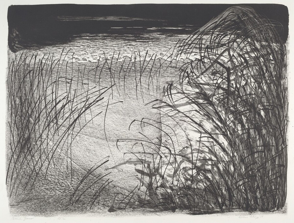 Beach Grass by Arthur L. Flory