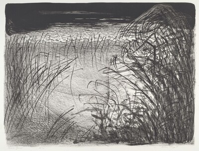 Beach Grass