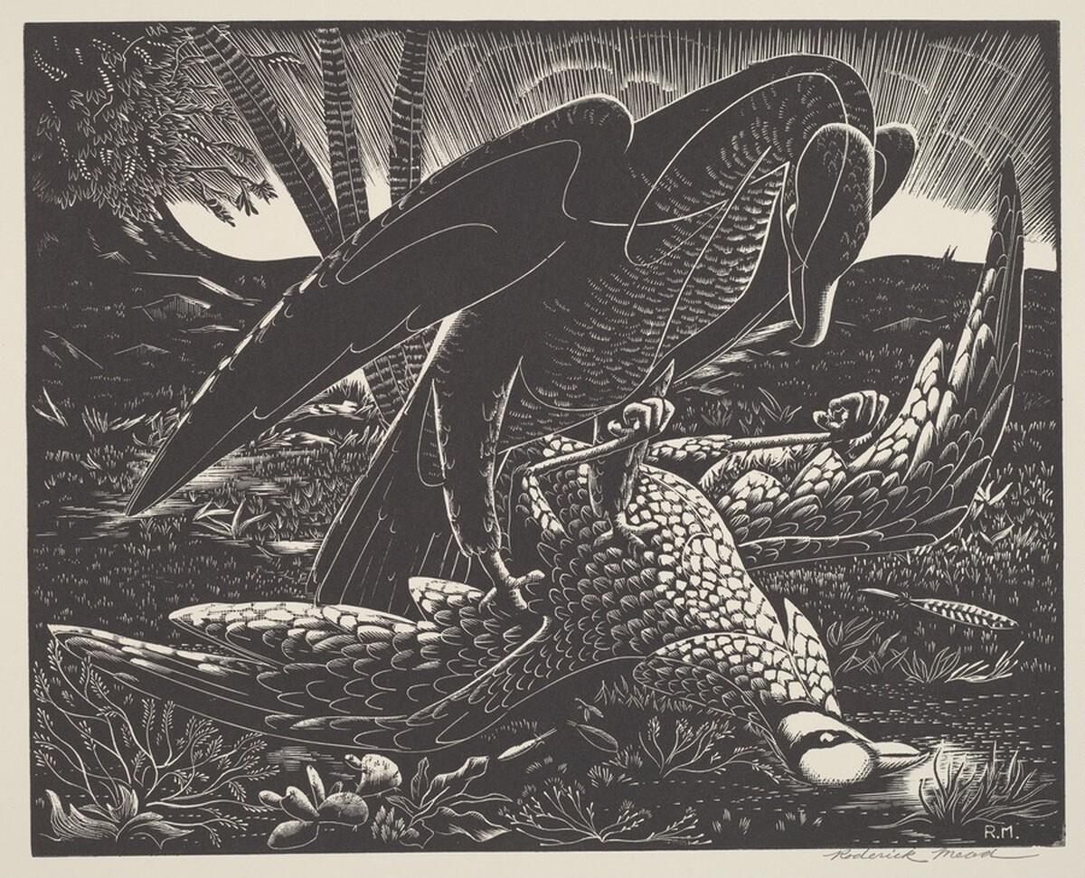 Bird of Prey by Roderick Fletcher Mead