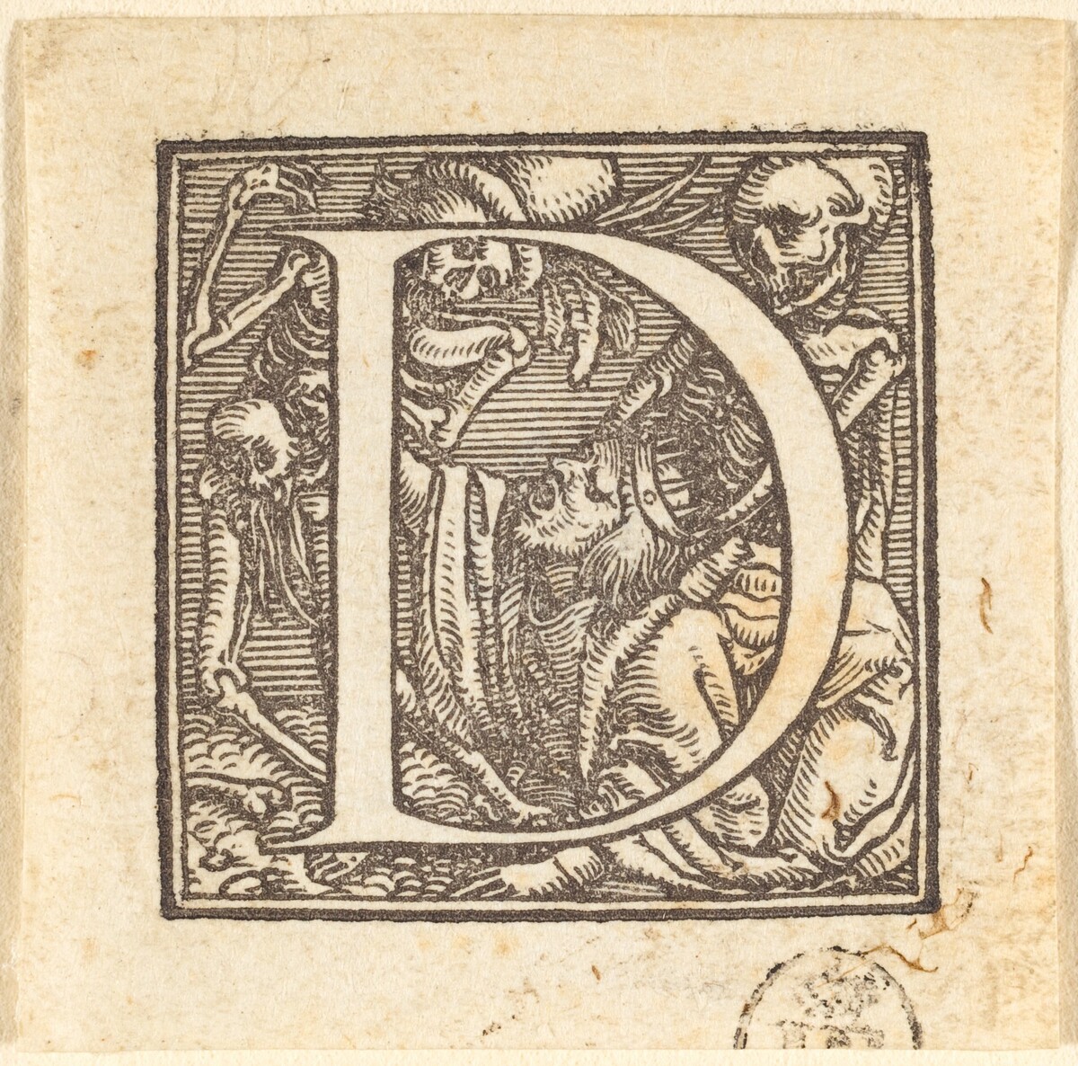 Letter D by Hans Lützelburger after Hans Holbein the Younger