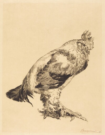 The Old Cock