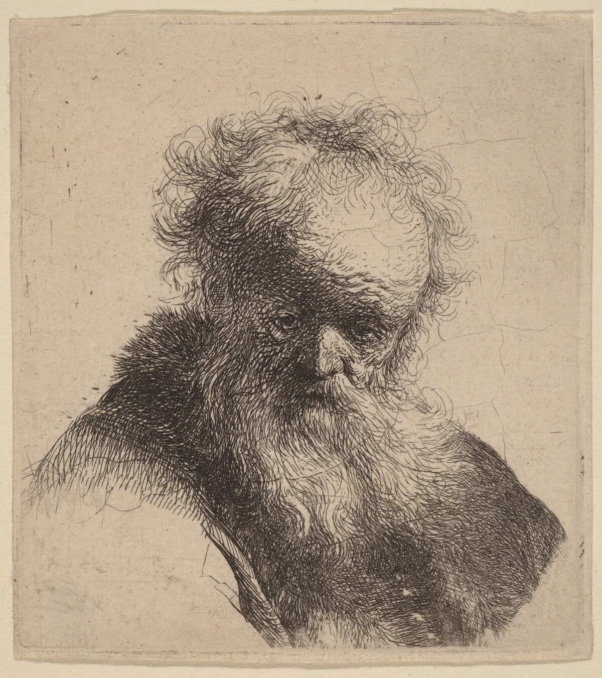 Bust of an Old Man with Flowing Beard and White Sleeve by Rembrandt van Rijn