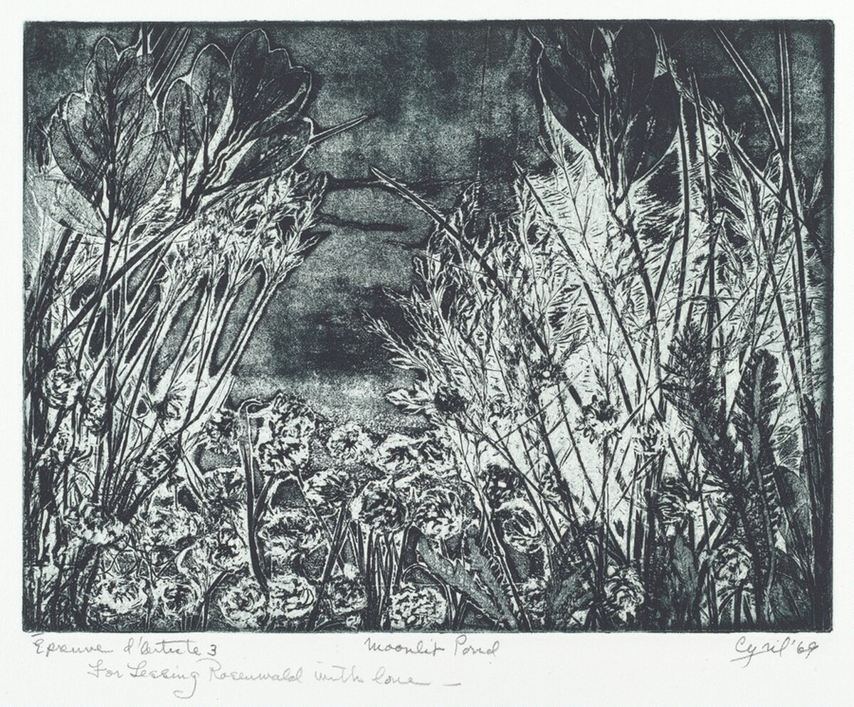 Moonlit Pond by Ruth Cyril