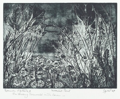 Moonlit Pond