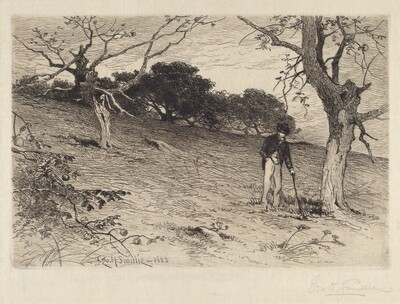 Orchard