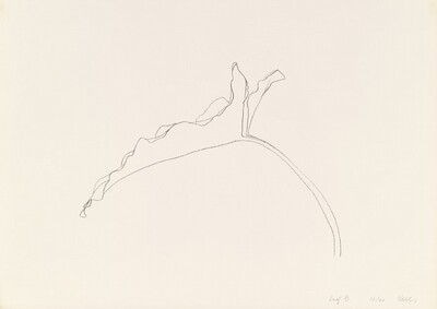 Leaf XI