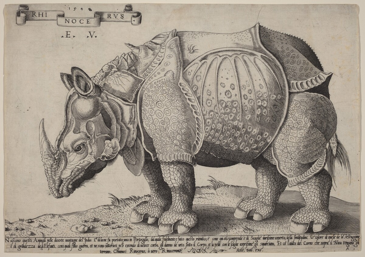 Rhinoceros by Enea Vico after Albrecht Dürer