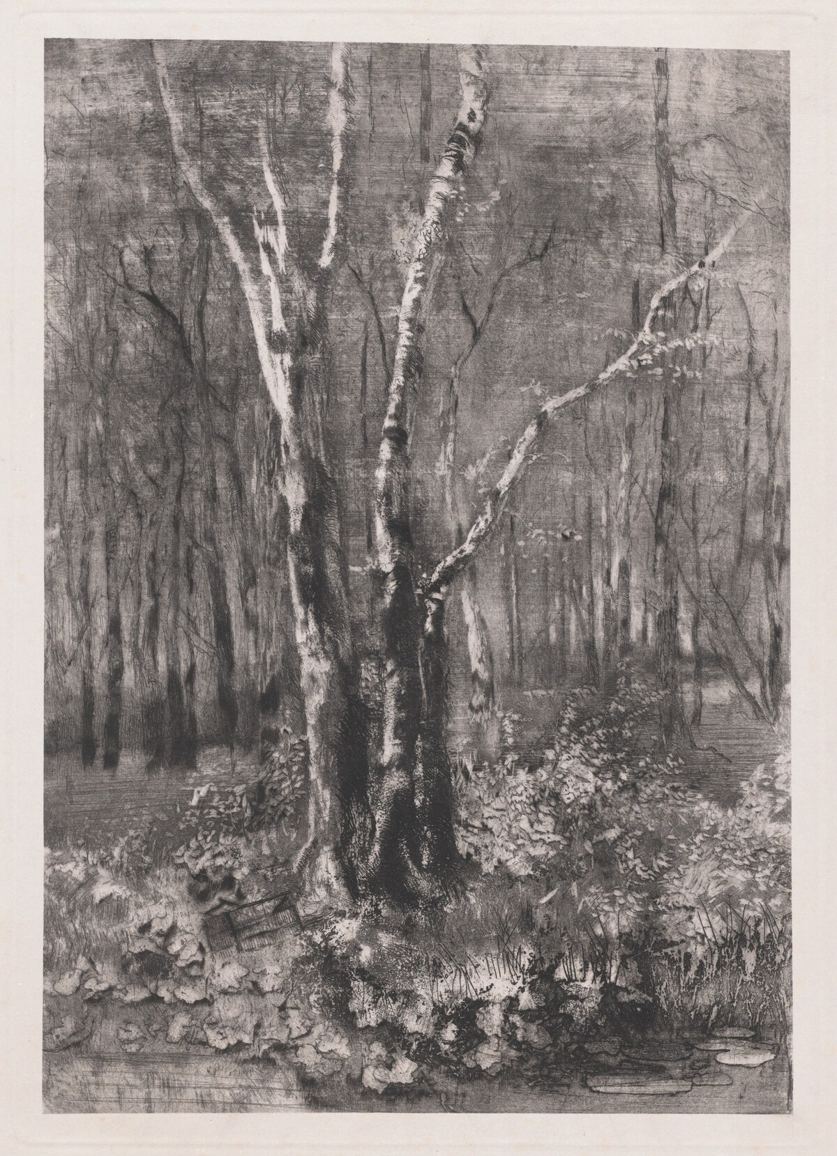Woods in the Park near Monza by Mosè Bianchi
